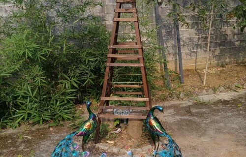 春光好·南京下关火车站