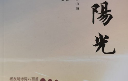杨友明诗词研究    杨友明在词作中是如何处理平仄变化以增强情感表达的？