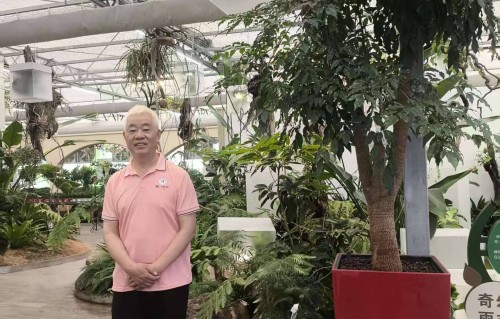杨友明诗词研究     杨友明的诗词风格是怎样的?