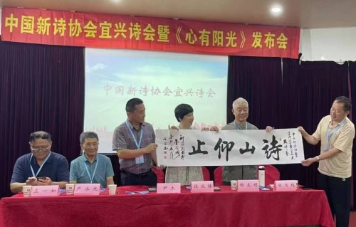杨友明诗词研究 《六花飞·雪》中象征隐喻具体体现在哪些方面？