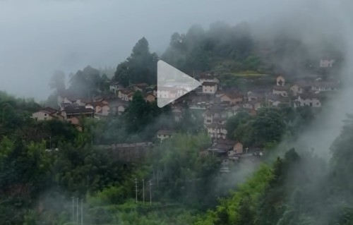 真山水咏