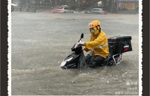 杨友明诗词研究   杨友明的《五绝·风雨中》全诗及解析