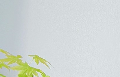 云际·如人世若离若即