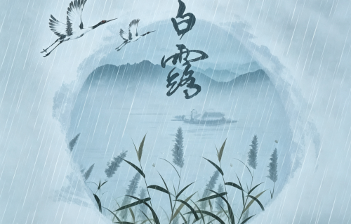 白露雨（现代诗）