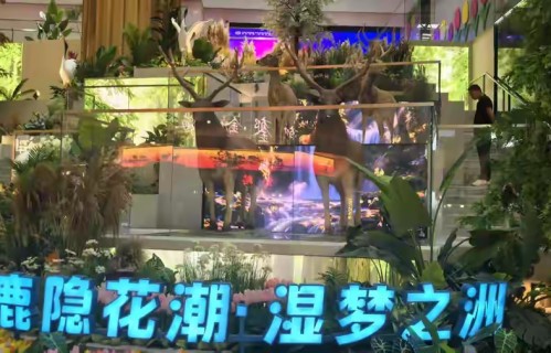 五绝·参观高速大丰新服务区