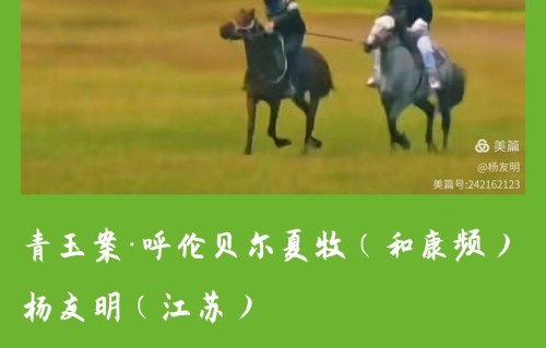 杨友明诗词研究   杨友明让人喜欢的诗词作品