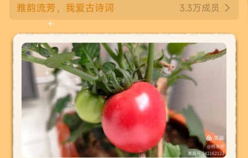 杨友明诗词研究   杨友明诗词价值