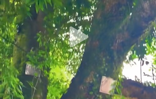 人间烟火