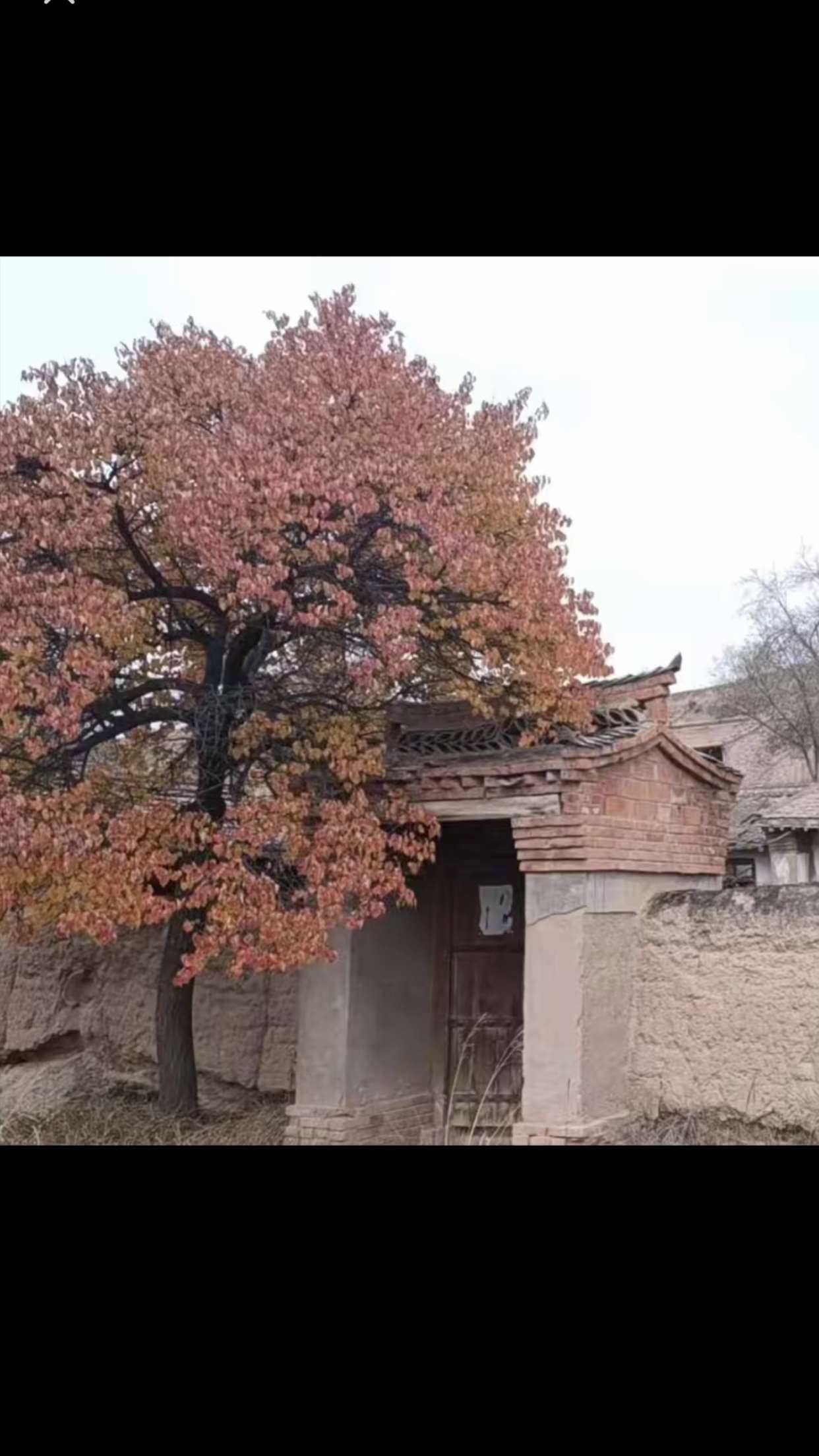 04c93852dbc746d0417dc24d4045986.png 04c93852dbc746d0417dc24d4045986.png