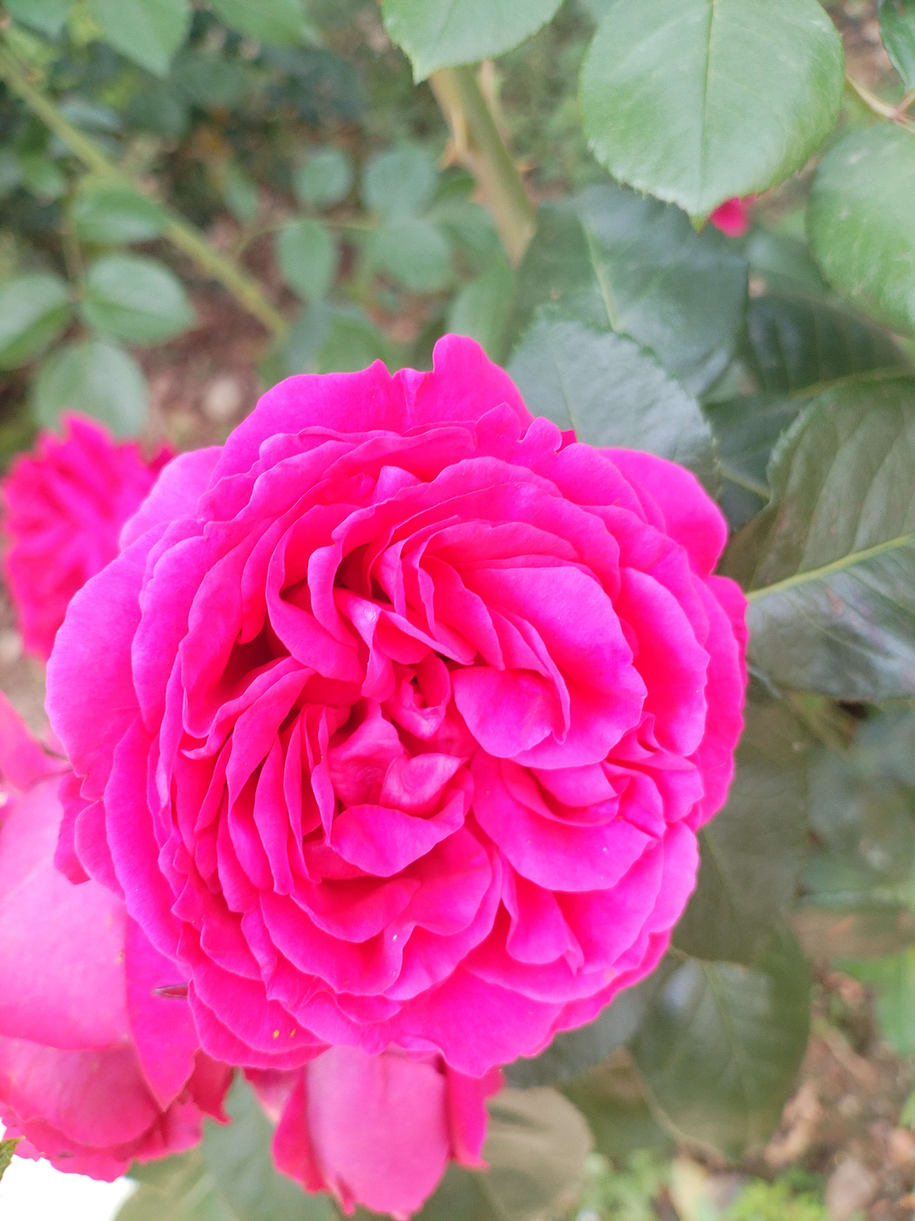 IMG_20250427_130151.jpg