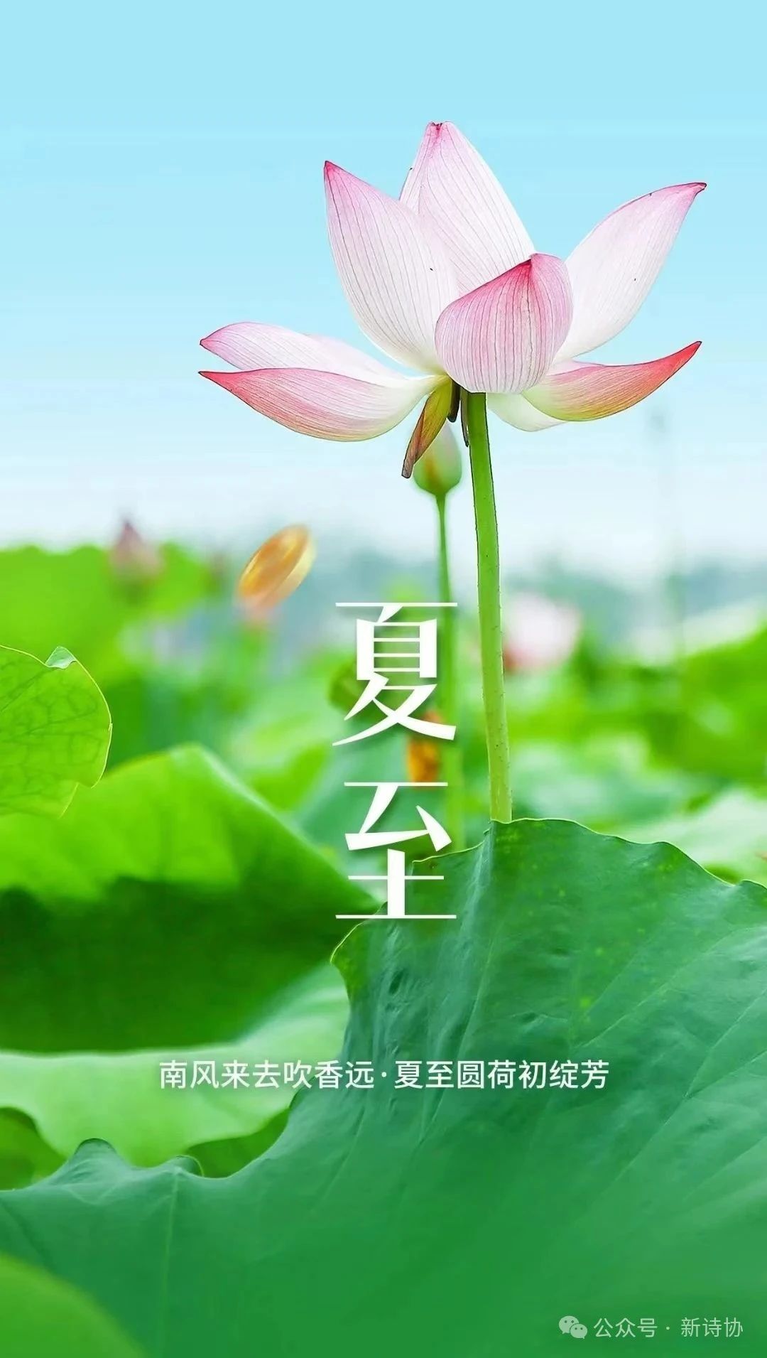 微信图片_20250621093142.jpg 微信图片_20250621093142.jpg