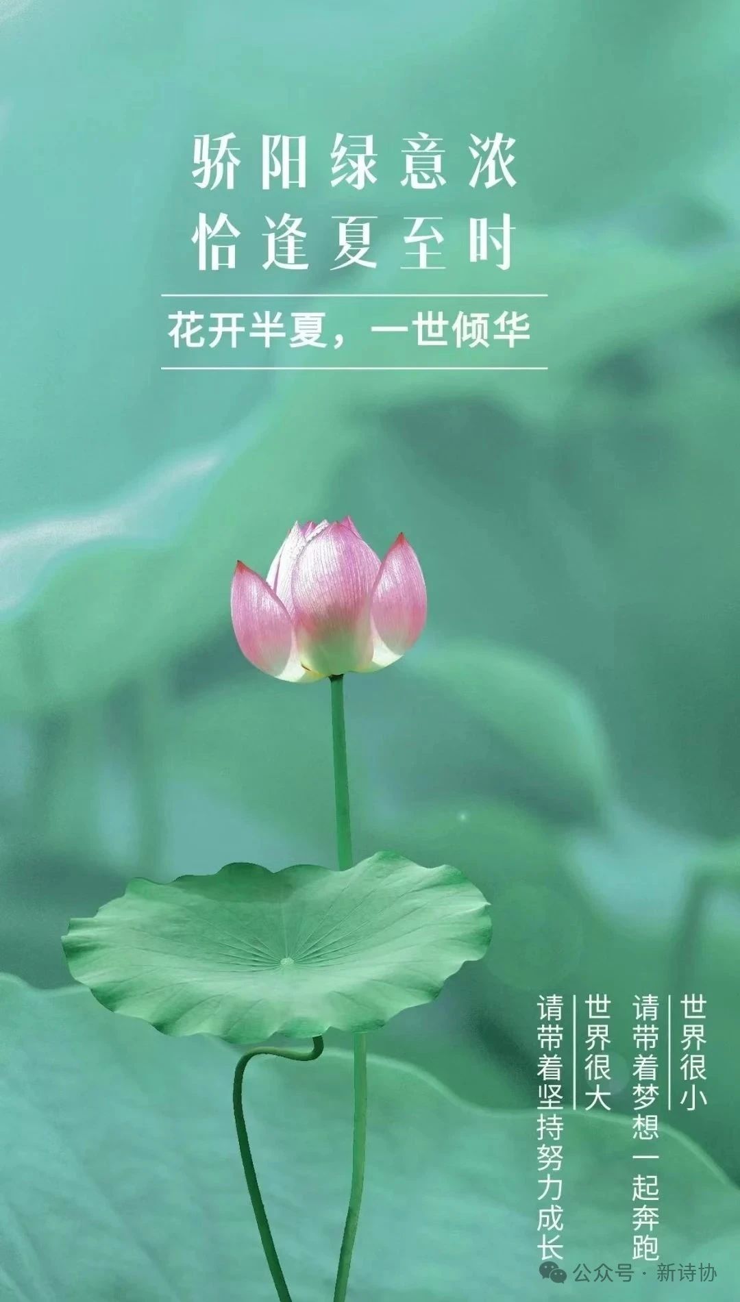 微信图片_20250621093218.jpg 微信图片_20250621093218.jpg