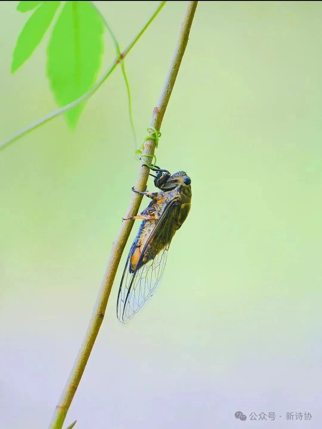 微信图片_20250627090354.jpg 微信图片_20250627090354.jpg