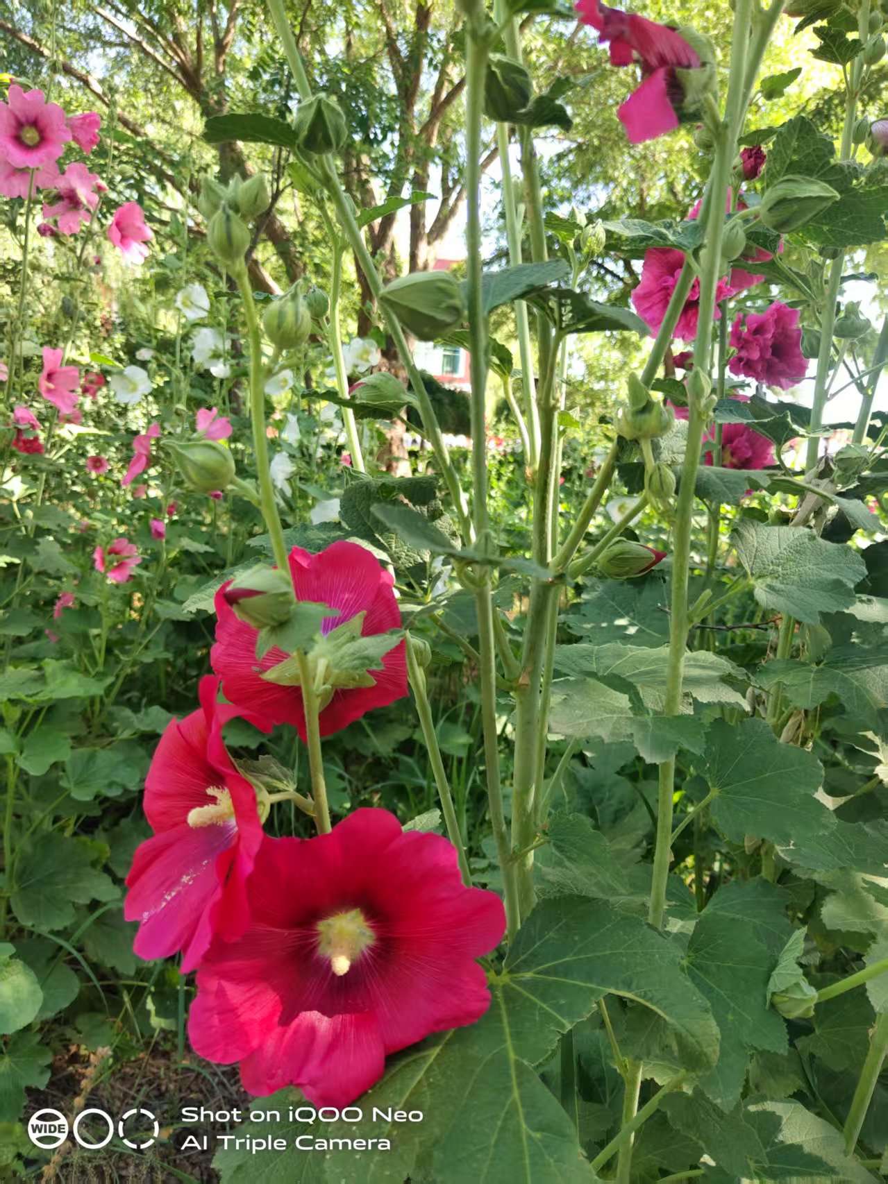 f712192c9c3dfd94981eda12a0d45b0.jpg f712192c9c3dfd94981eda12a0d45b0.jpg