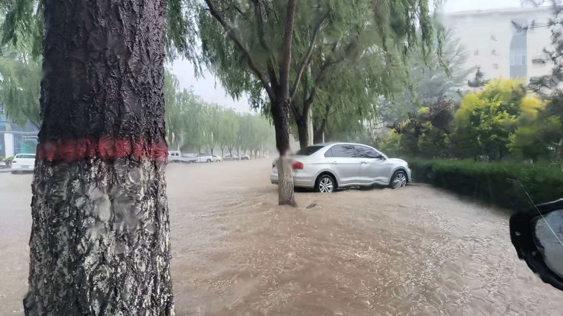 3efc0e1214970344182f995c5ae2253.jpg 3efc0e1214970344182f995c5ae2253.jpg