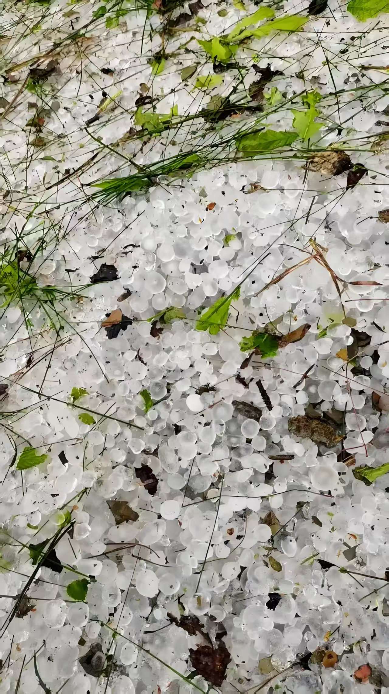 f3403b2465be2bf9de1657e76ee4547.jpg f3403b2465be2bf9de1657e76ee4547.jpg