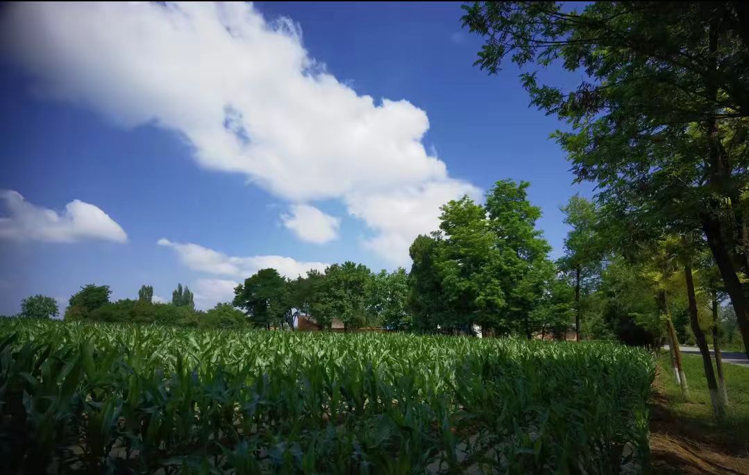 7bf95445df651add3f8549bb0d2b5c7.jpg 7bf95445df651add3f8549bb0d2b5c7.jpg