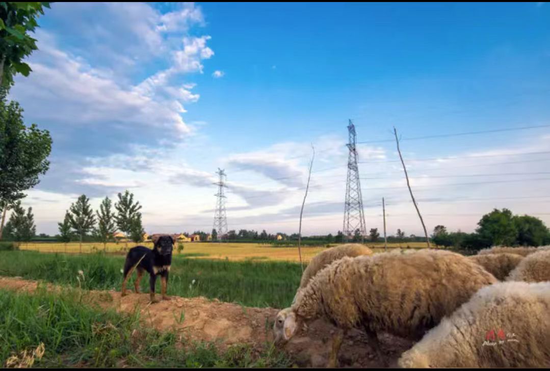 741660bc83fa0140acfa31c848740bf.jpg 741660bc83fa0140acfa31c848740bf.jpg