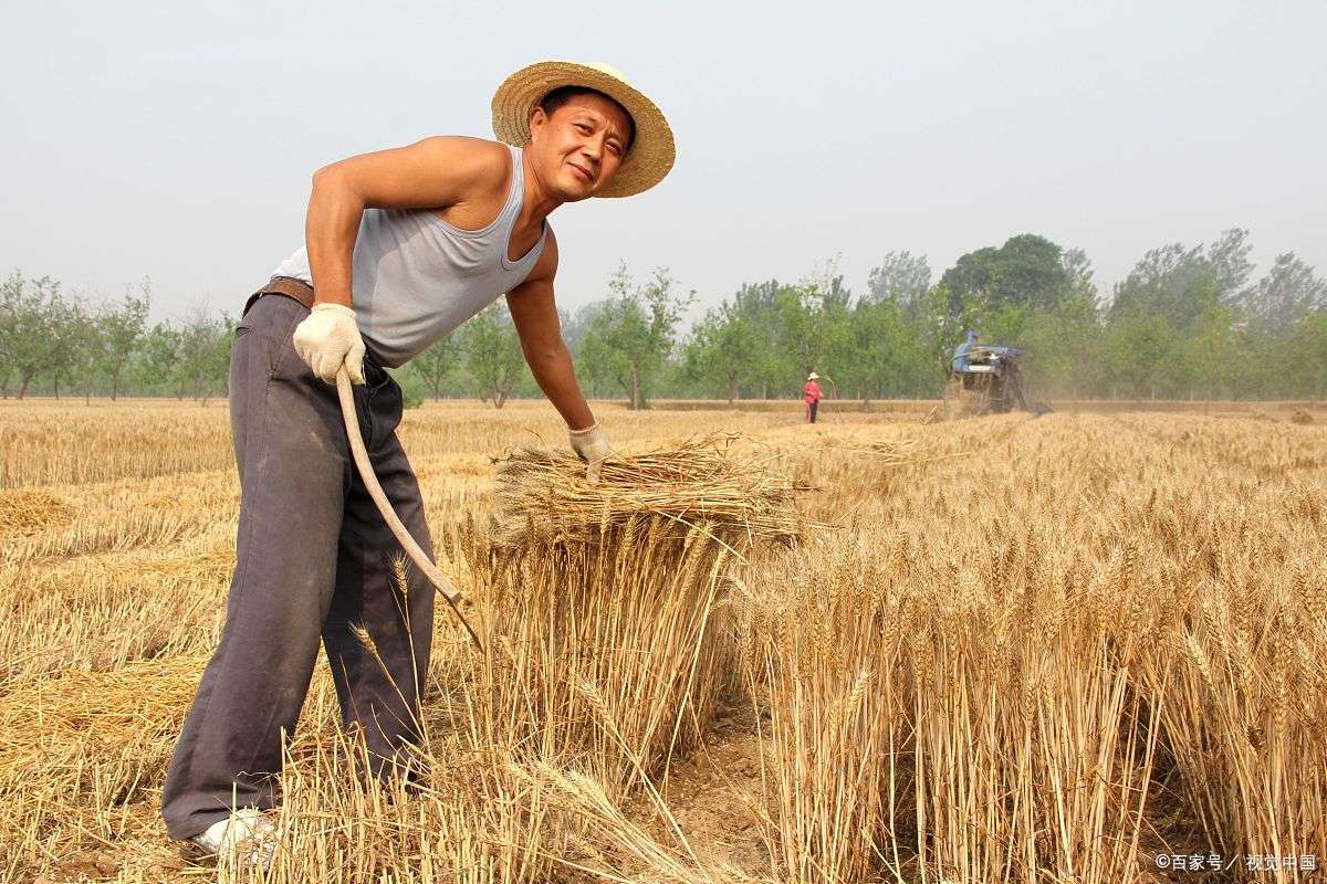 b0ff00405415de9a.jpg b0ff00405415de9a.jpg