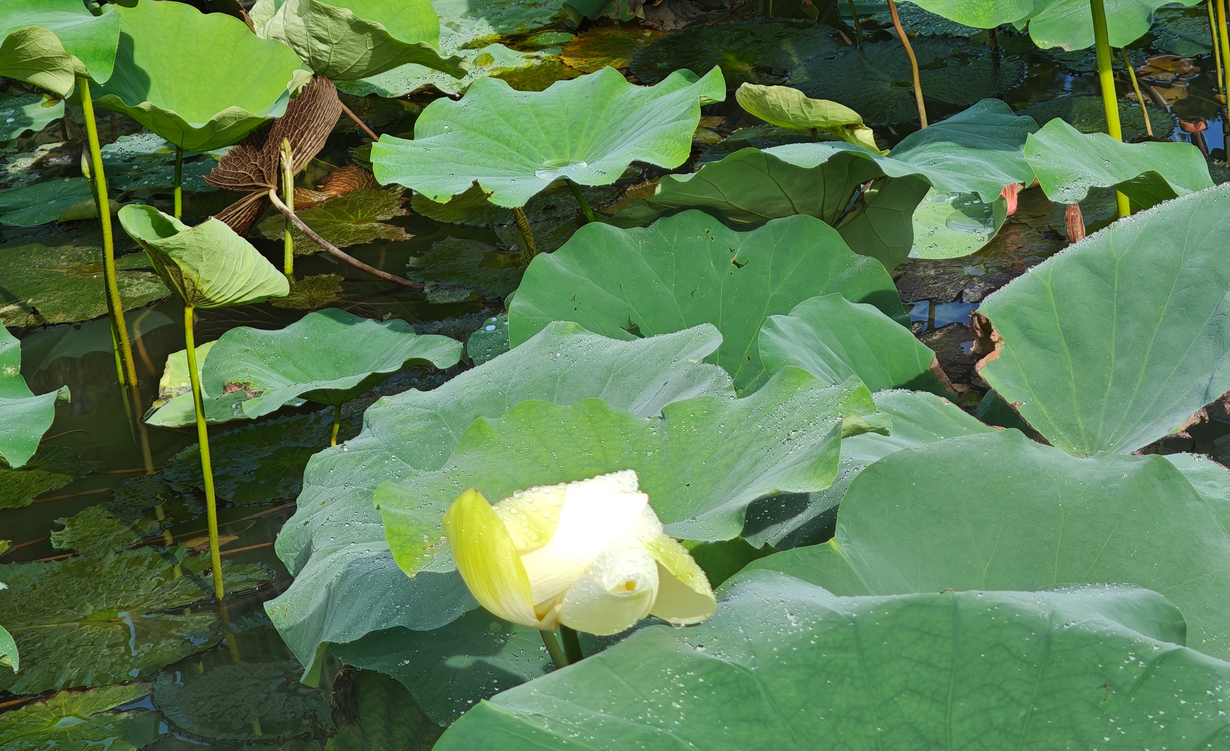 微信图片_20250703170536.jpg 微信图片_20250703170536.jpg