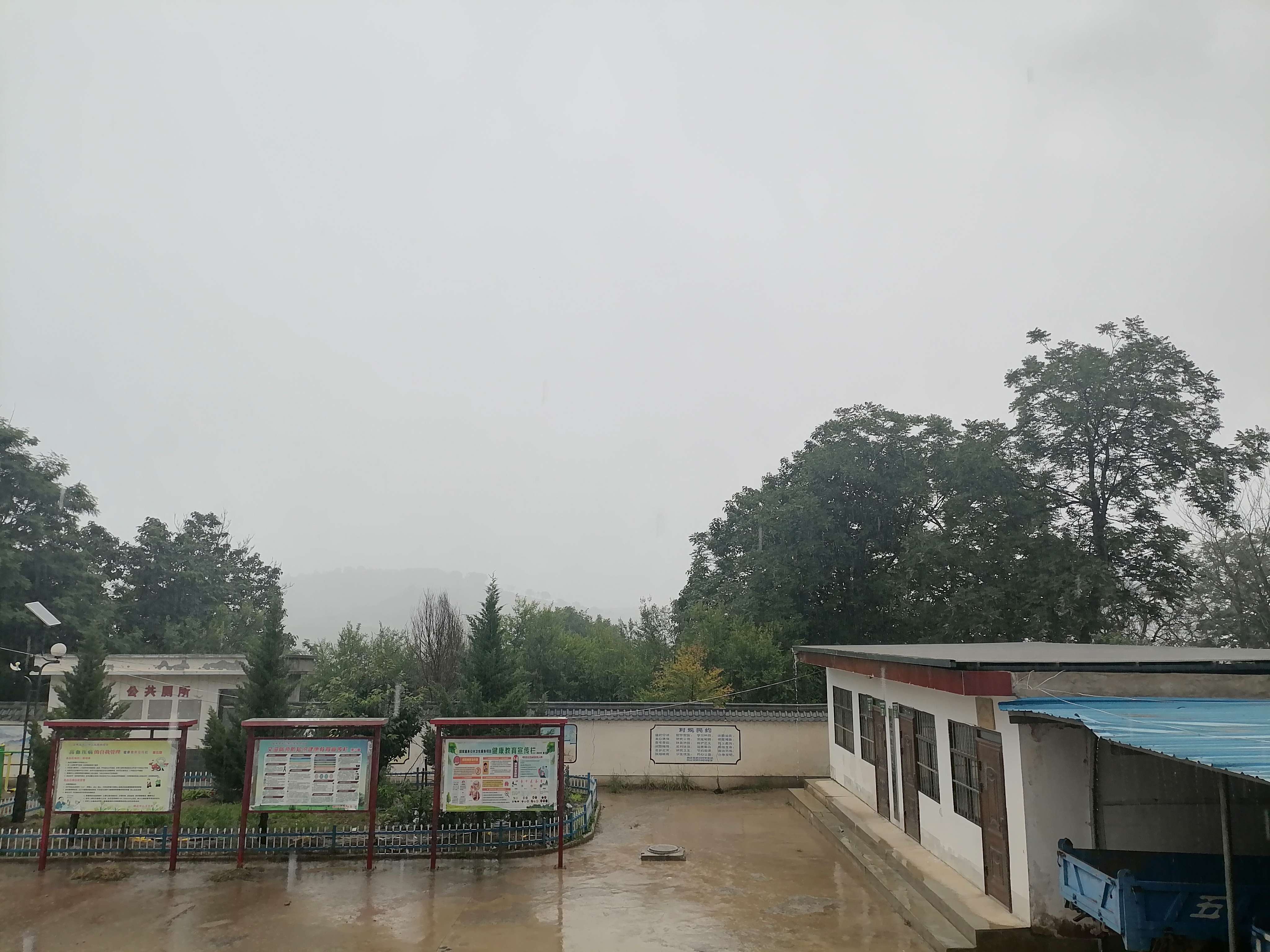 IMG_20250704_072738.jpg IMG_20250704_072738.jpg