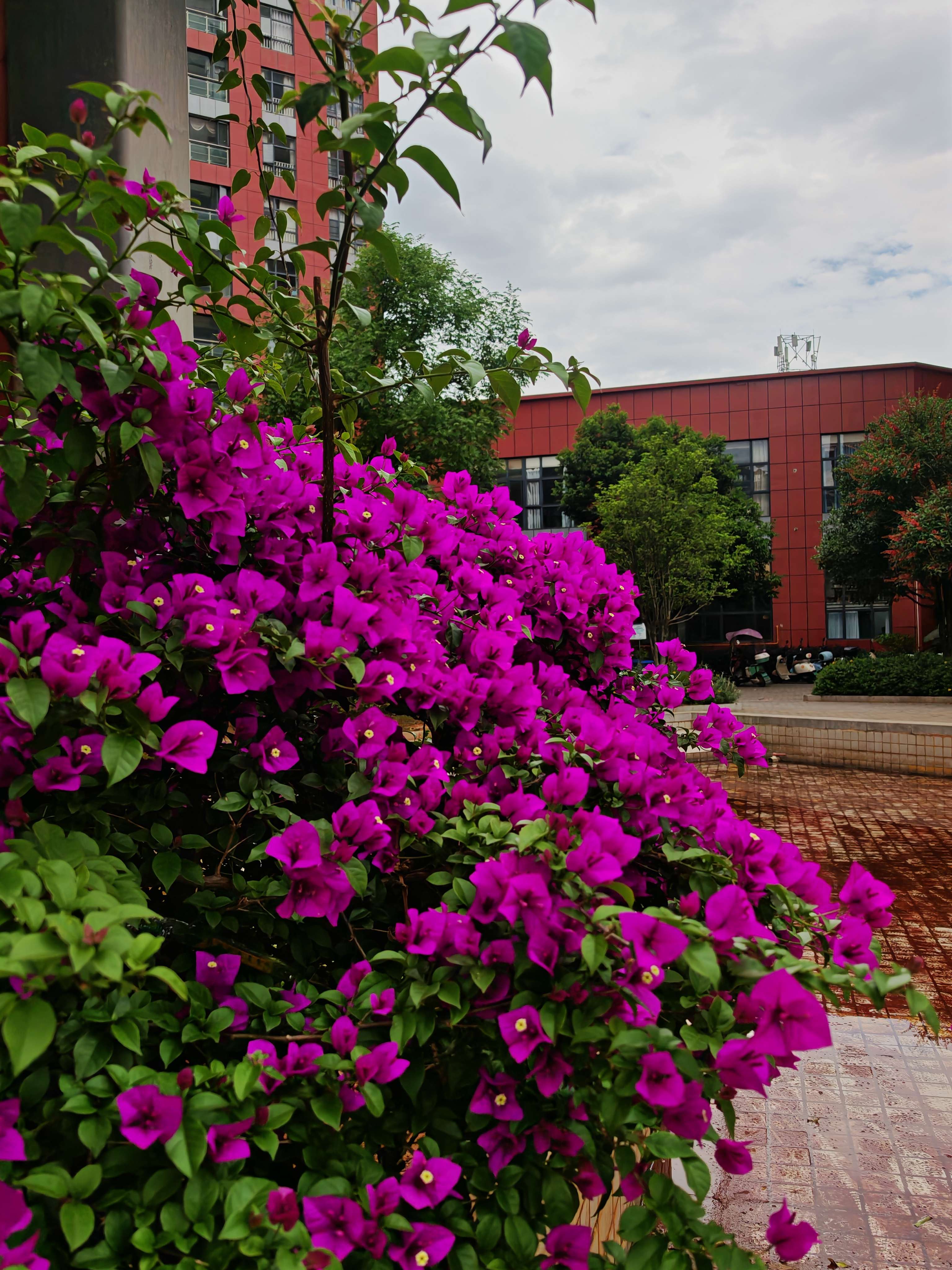 IMG_20250502_150412.jpg IMG_20250502_150412.jpg