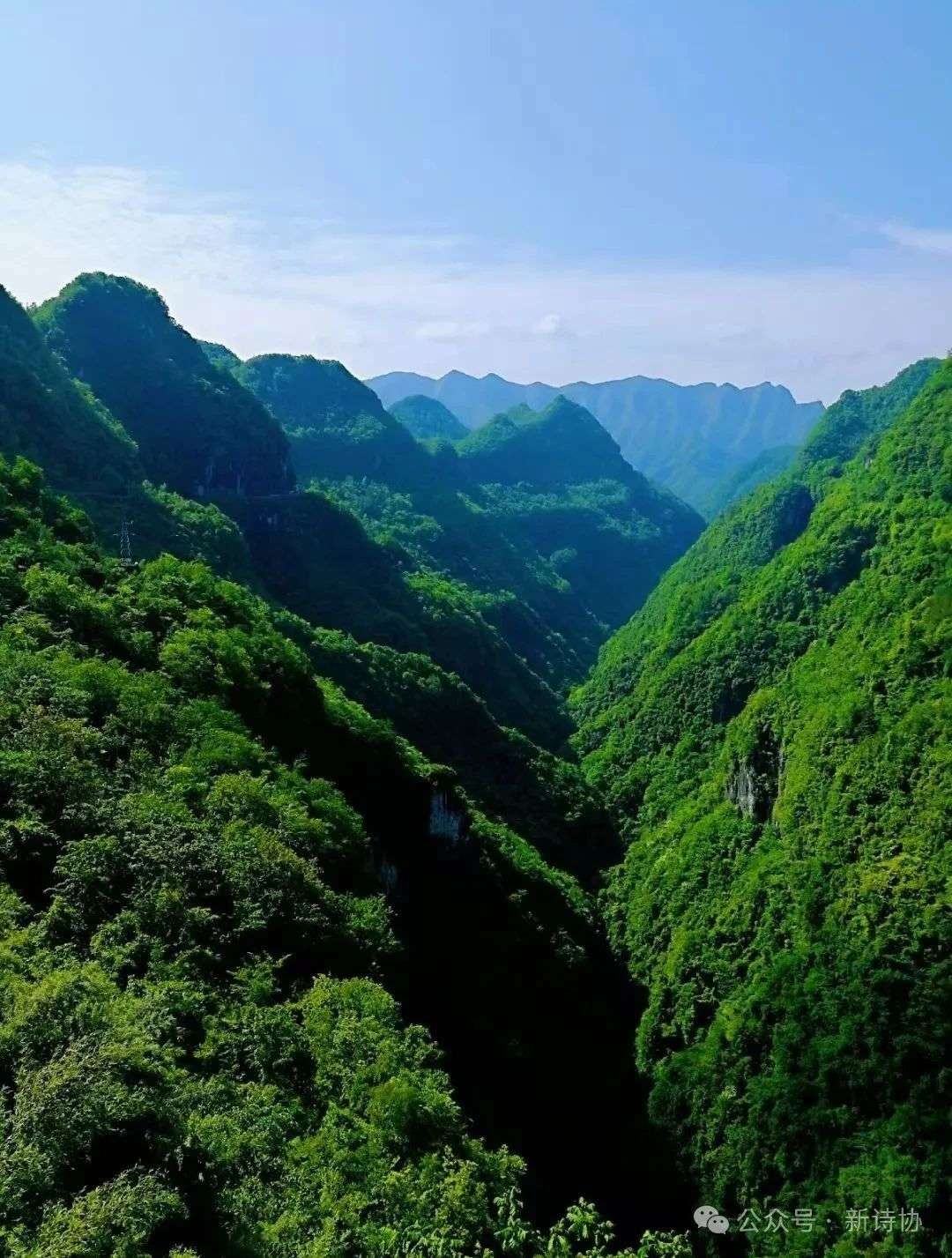 微信图片_20250707113642.jpg 微信图片_20250707113642.jpg