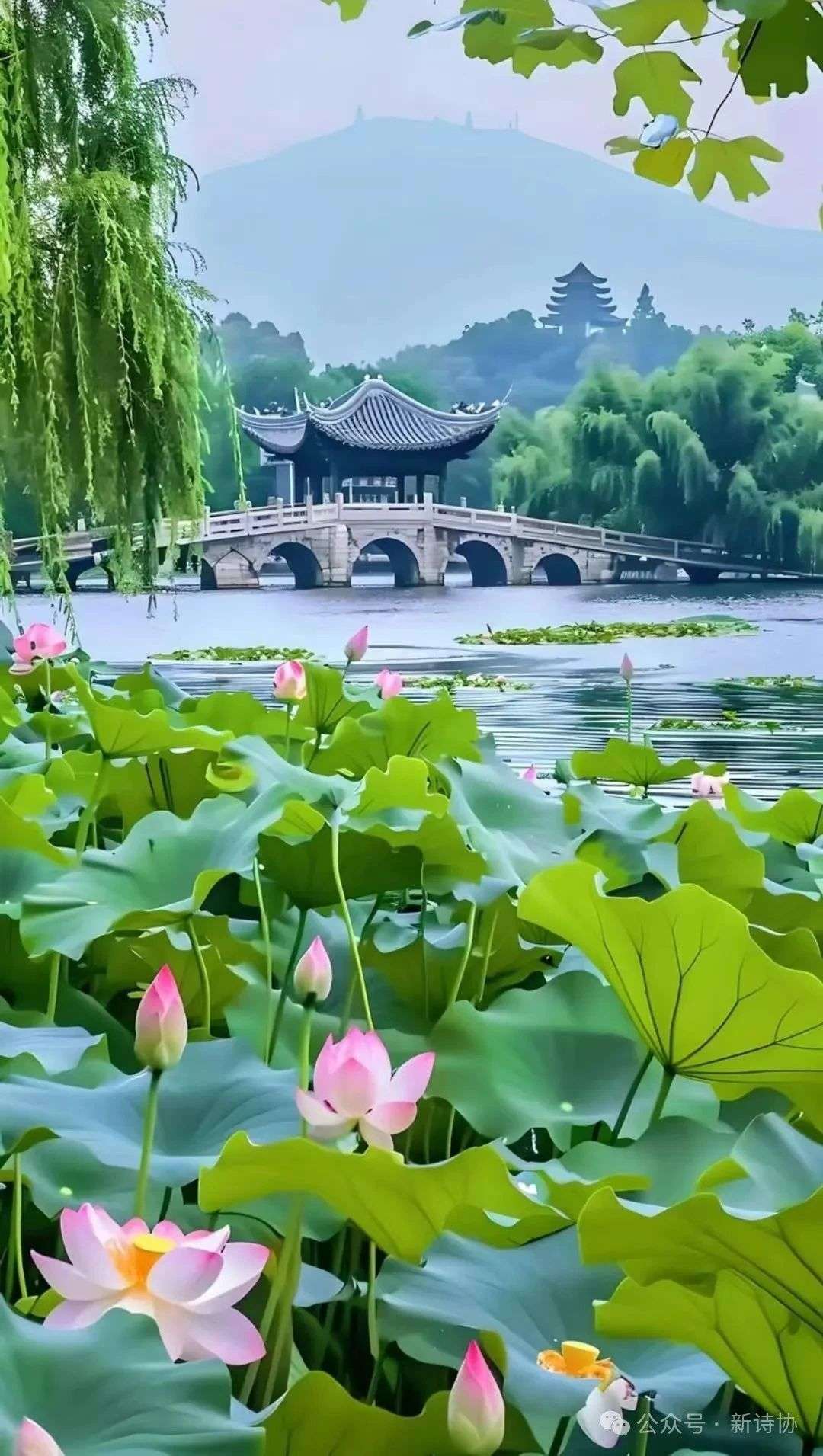 微信图片_20250707113637.jpg 微信图片_20250707113637.jpg