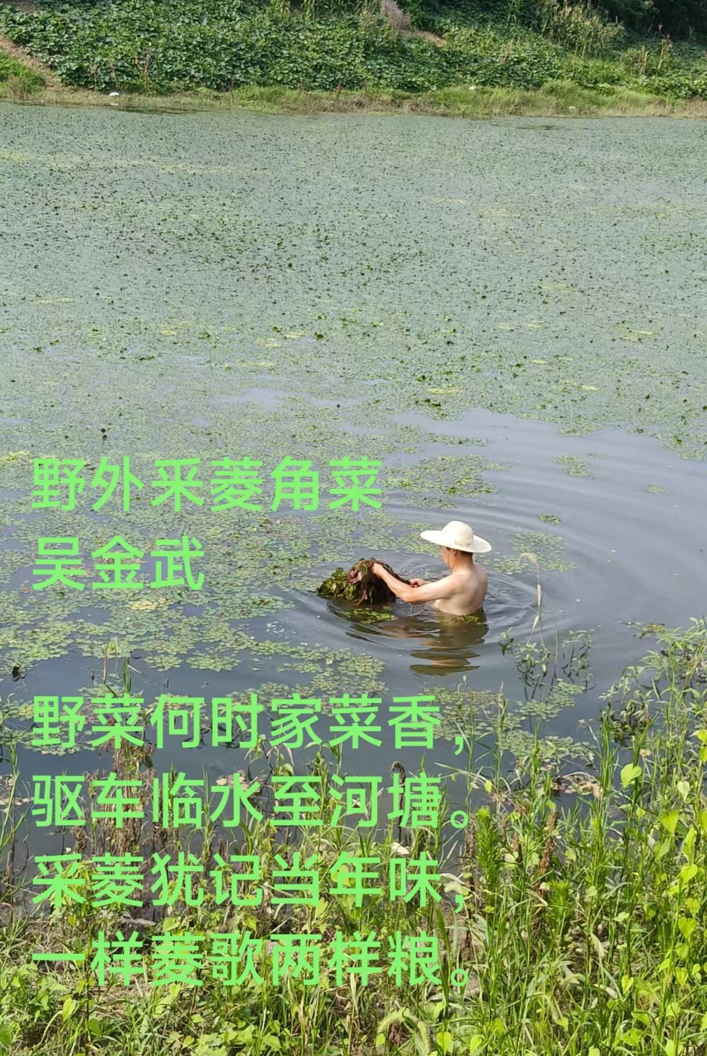 IMG_20250716_072927.jpg IMG_20250716_072927.jpg