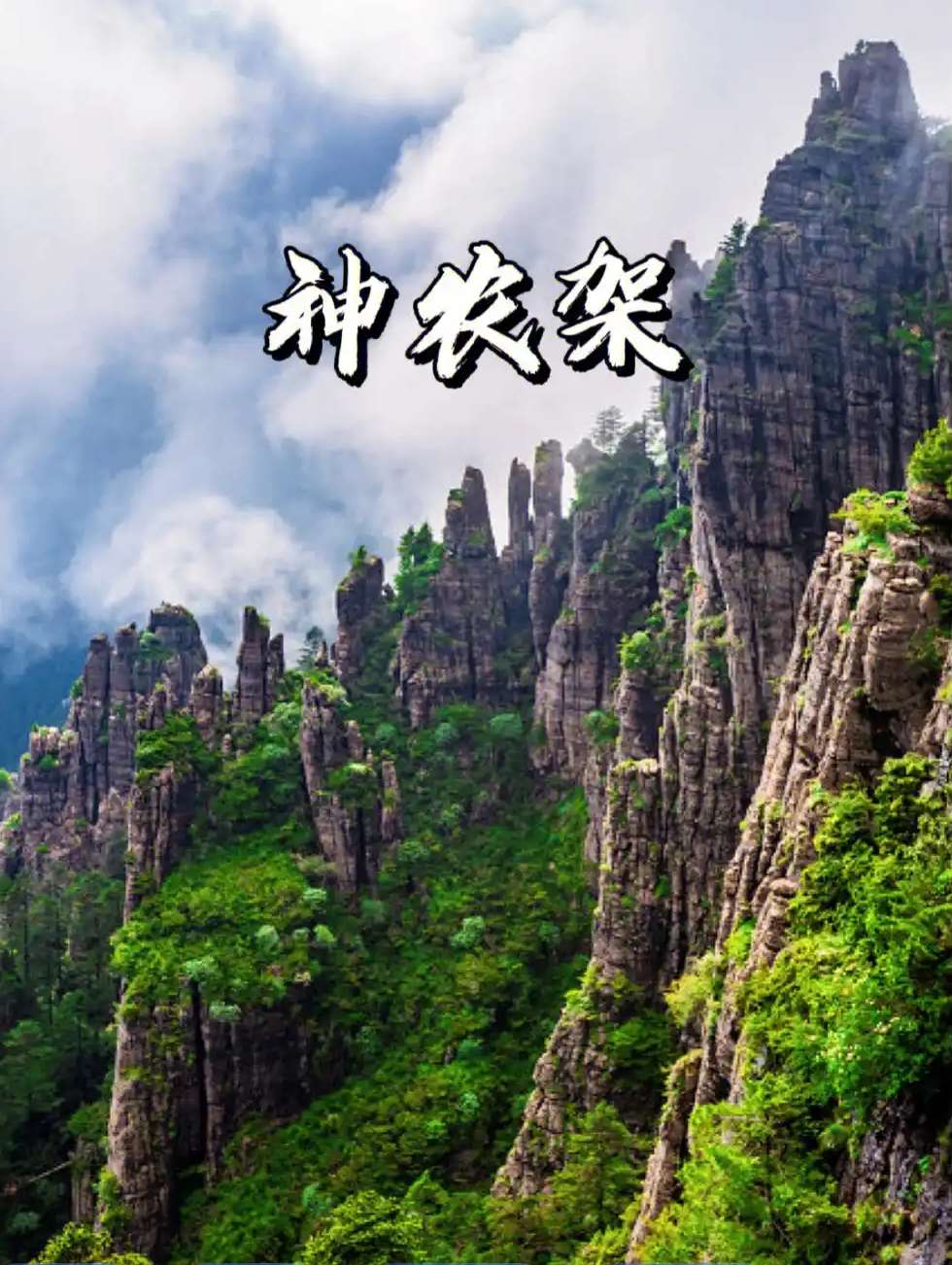Screenshot_2025_0718_050518.png
