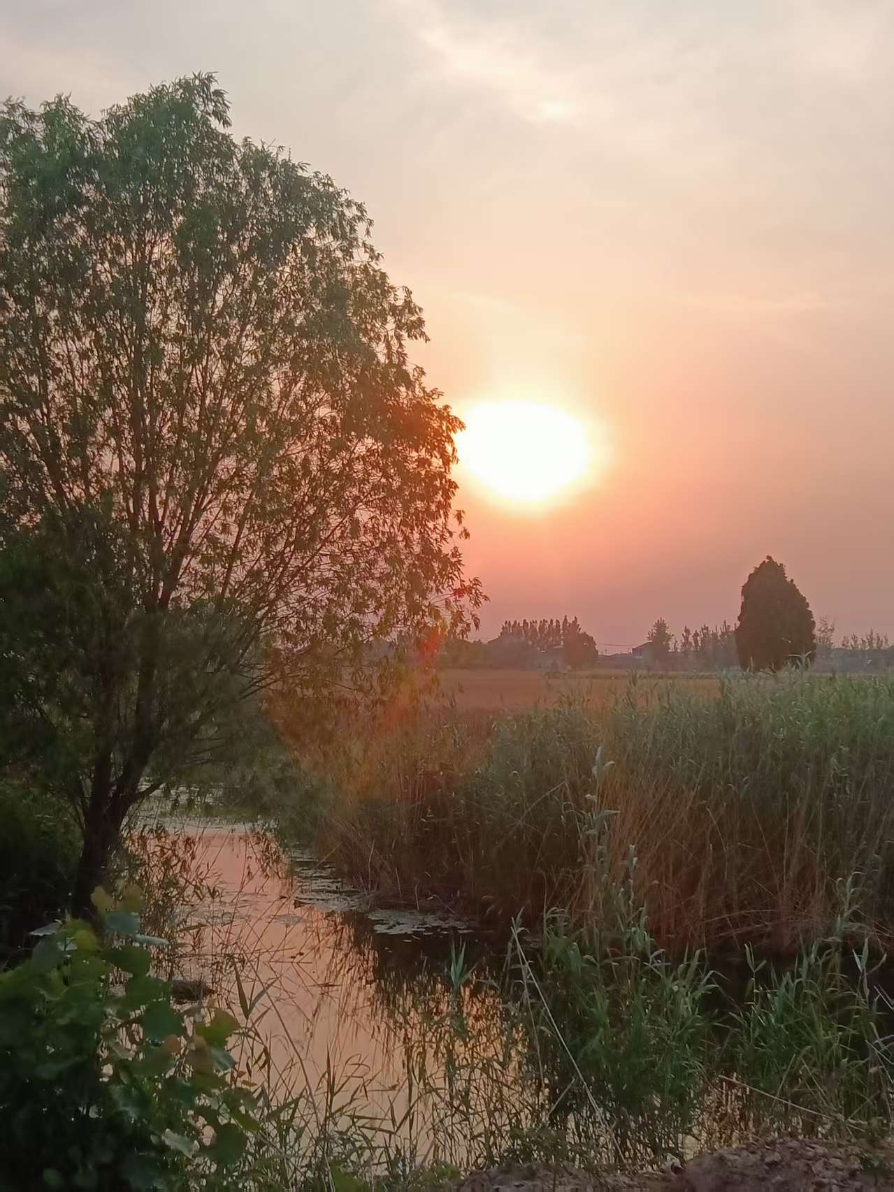 05753521b9336466eea89ec2f0d76db.jpg 05753521b9336466eea89ec2f0d76db.jpg