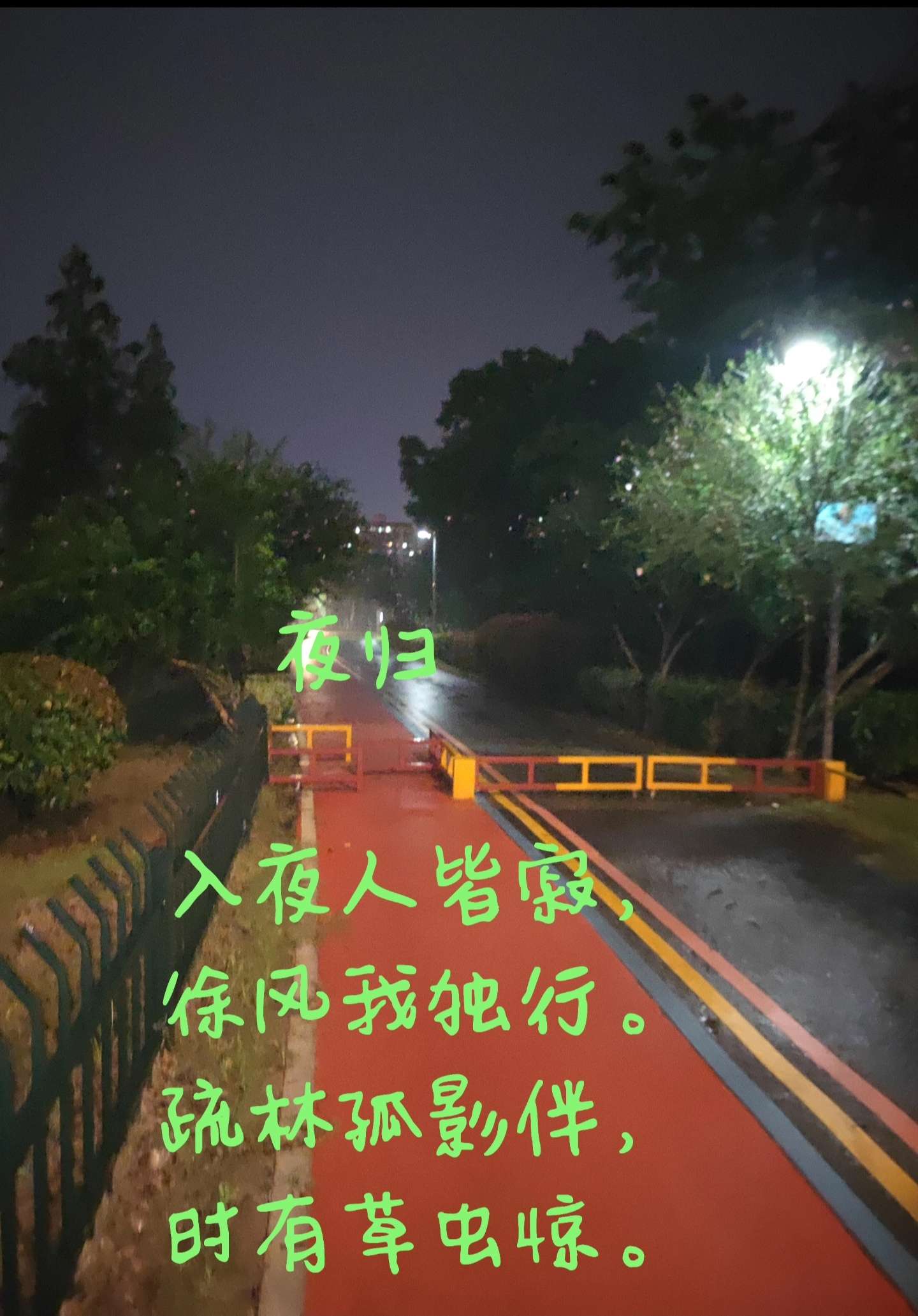 IMG_20250727_072911.jpg IMG_20250727_072911.jpg