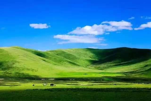 263774fdffea66956f34c508da8da2f.jpg 263774fdffea66956f34c508da8da2f.jpg