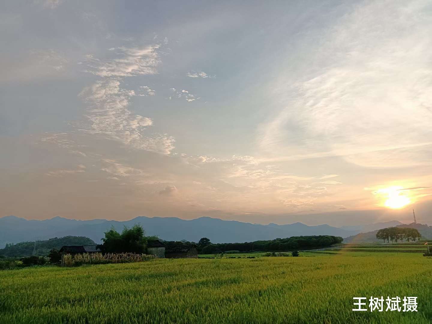 mmexport1754702859415.jpg mmexport1754702859415.jpg