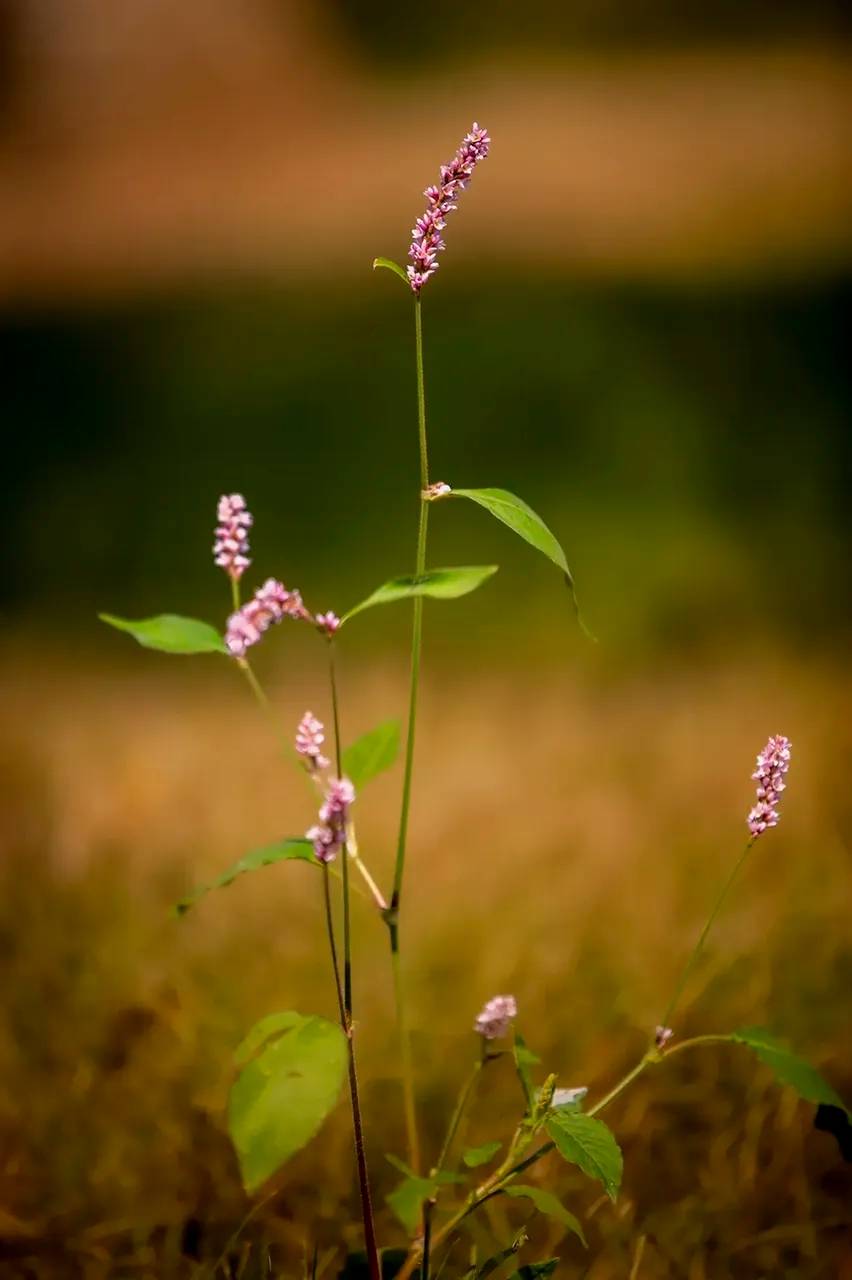 mmexport1759751283114.jpg mmexport1759751283114.jpg