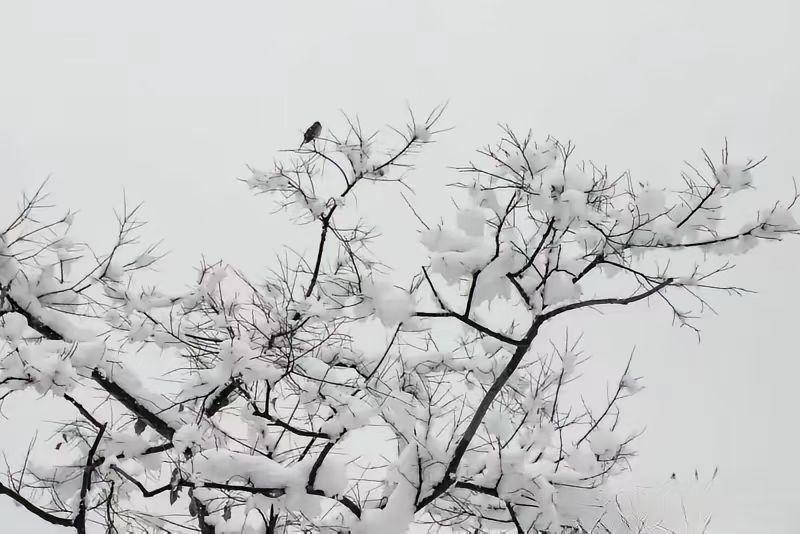 mmexport1765582091373.jpg mmexport1765582091373.jpg