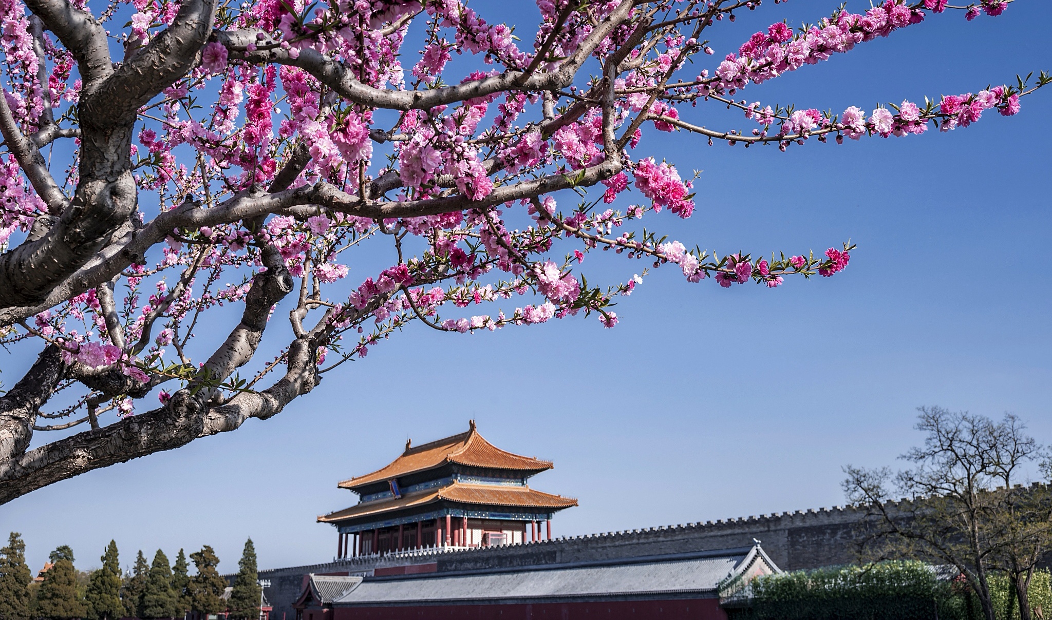 mmexport1771934044581_edit_232742867876464.jpg mmexport1771934044581_edit_232742867876464.jpg