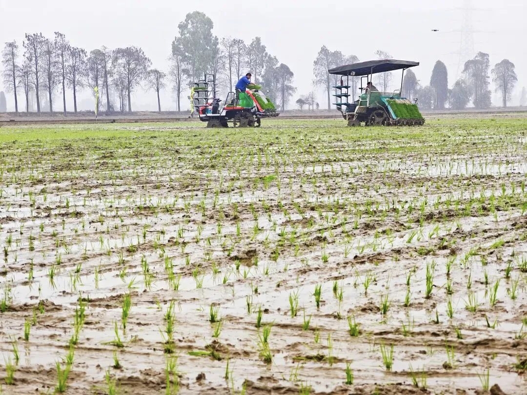 mmexport1772261571080..jpg mmexport1772261571080..jpg