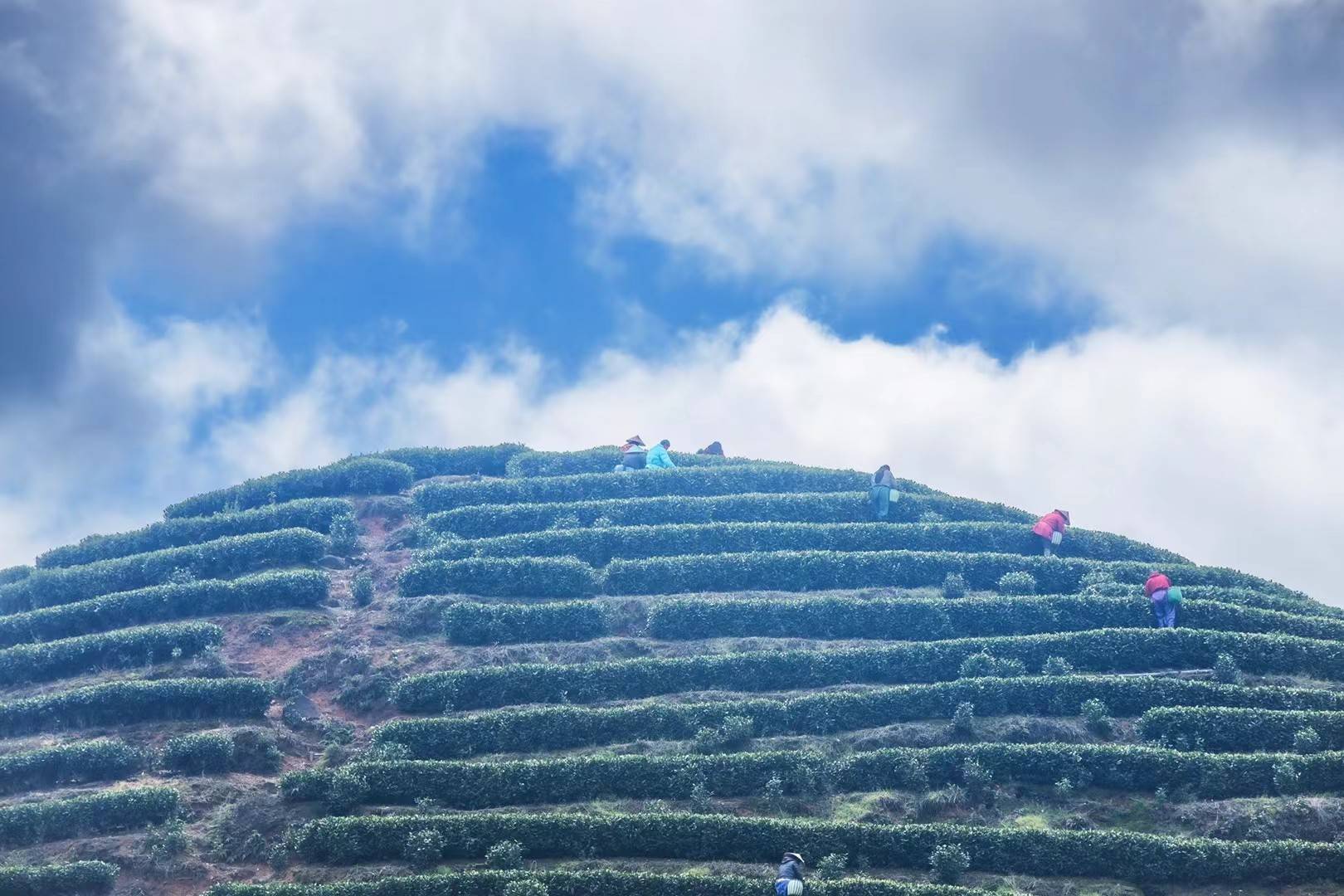 mmexport1775299489738.jpg mmexport1775299489738.jpg