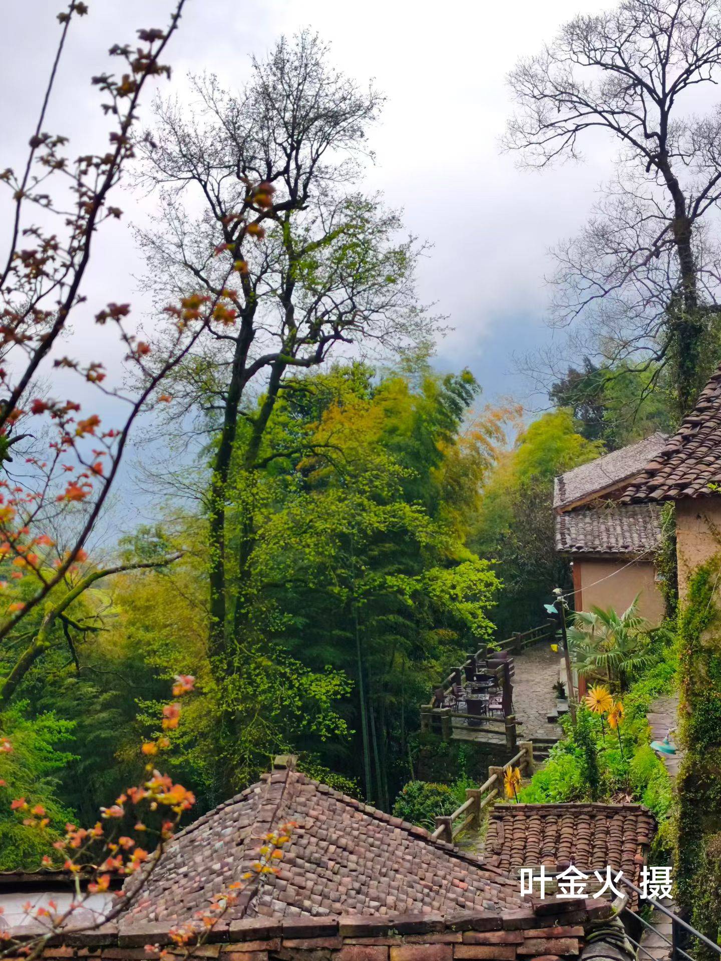 IMG_20260406_202302.jpg IMG_20260406_202302.jpg