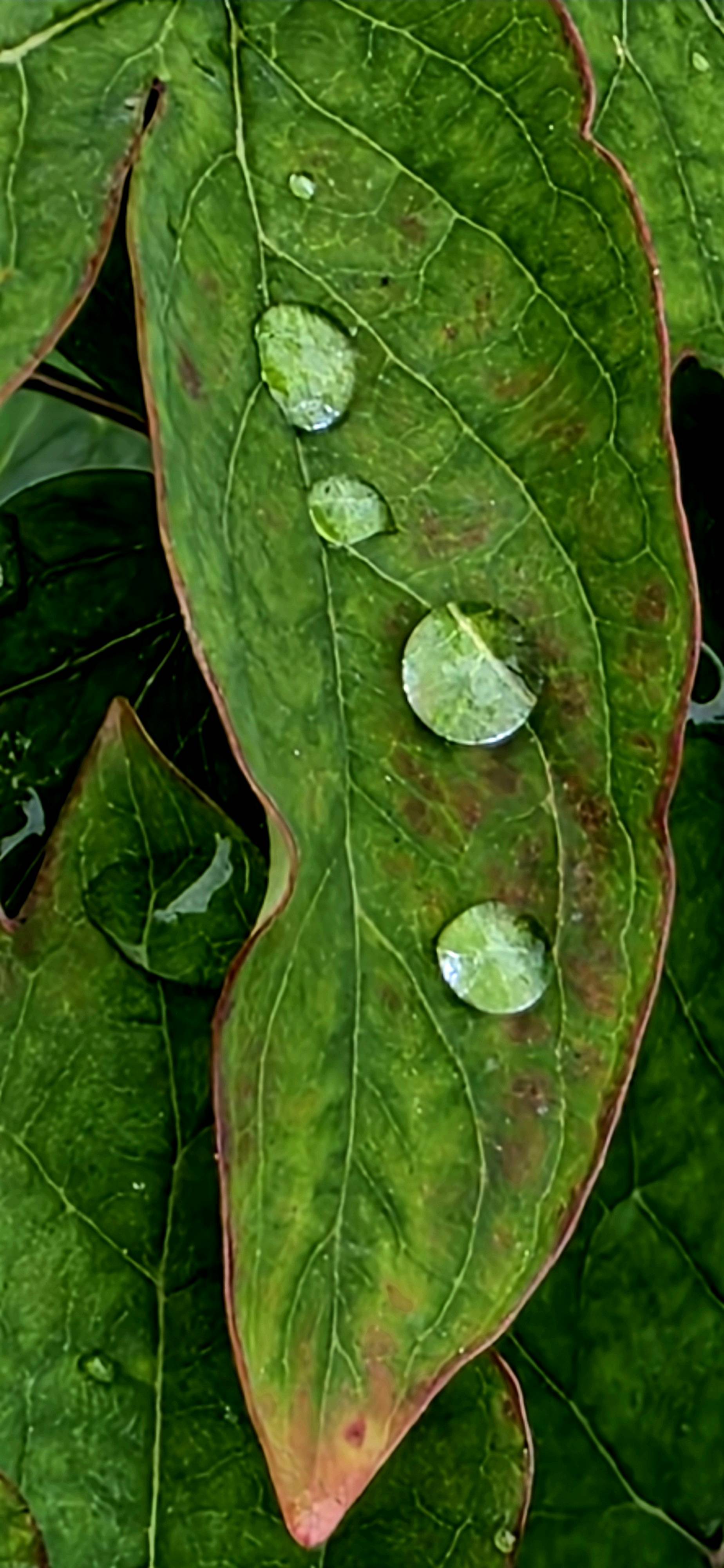20260502_101745.jpg