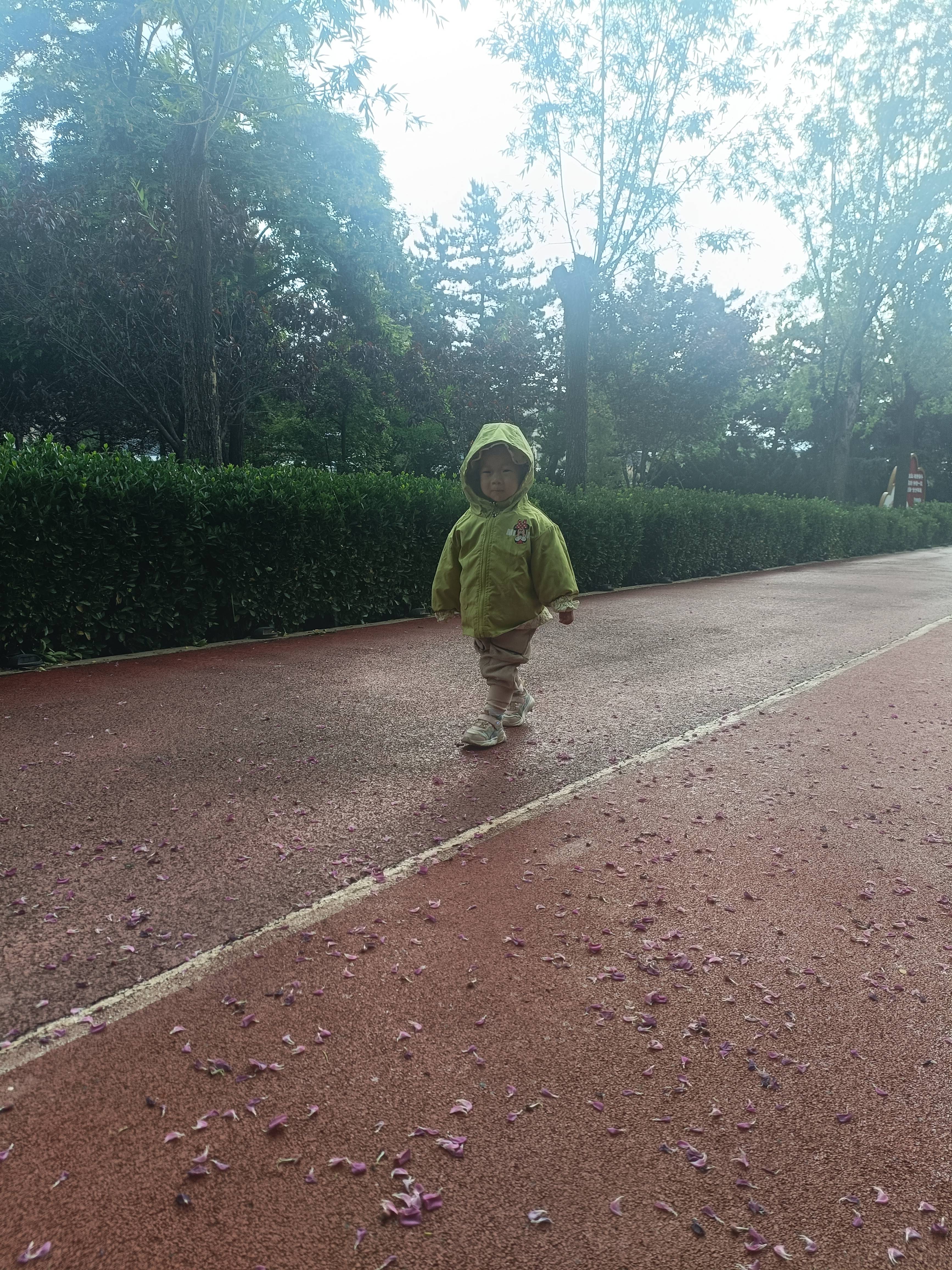 IMG20260524113114.jpg