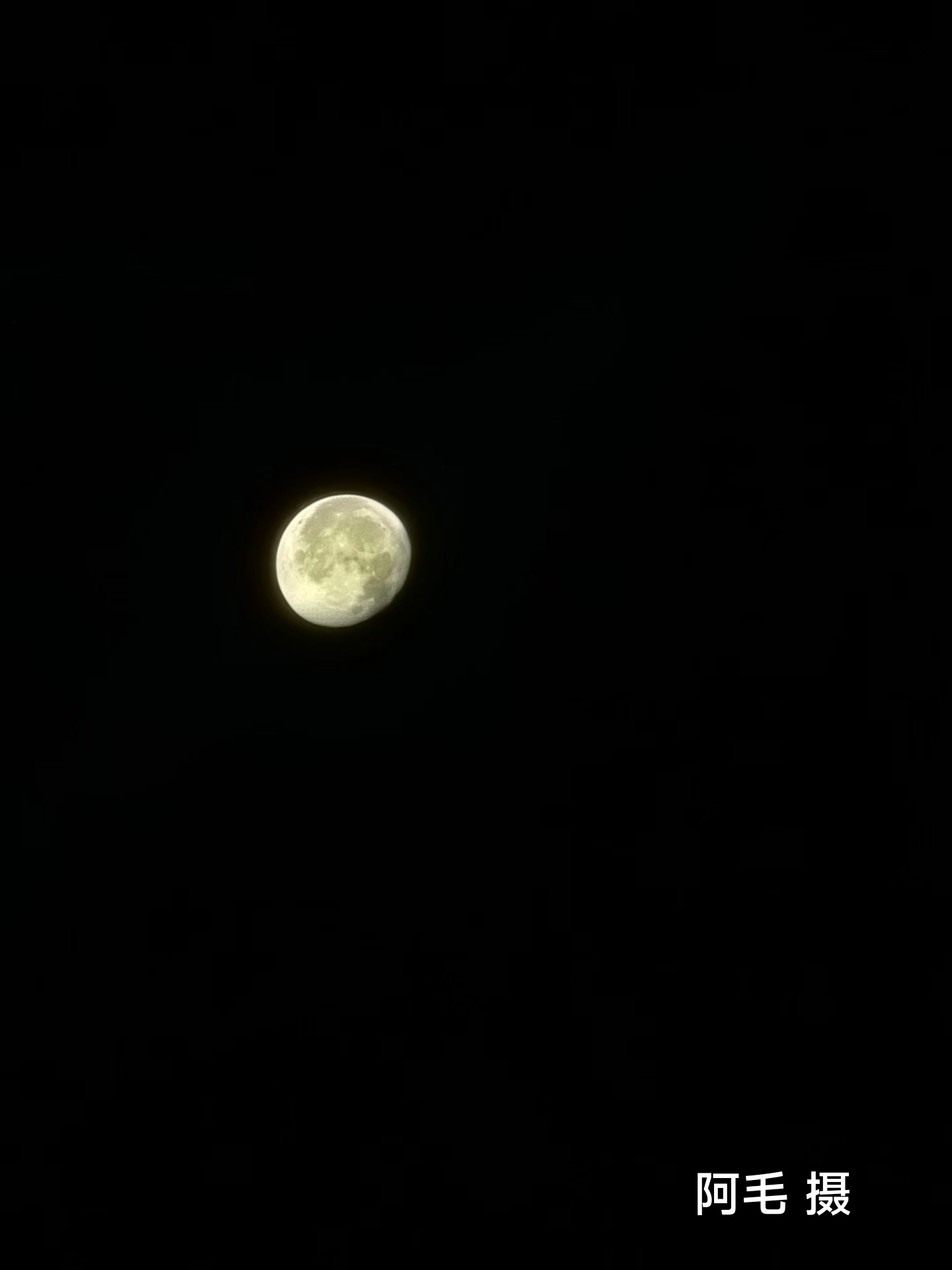 IMG_20260703_080141.jpg