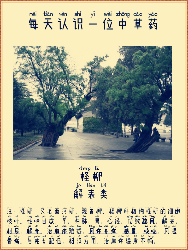 图片编辑加字20260729071658_edit_107358821295321.png