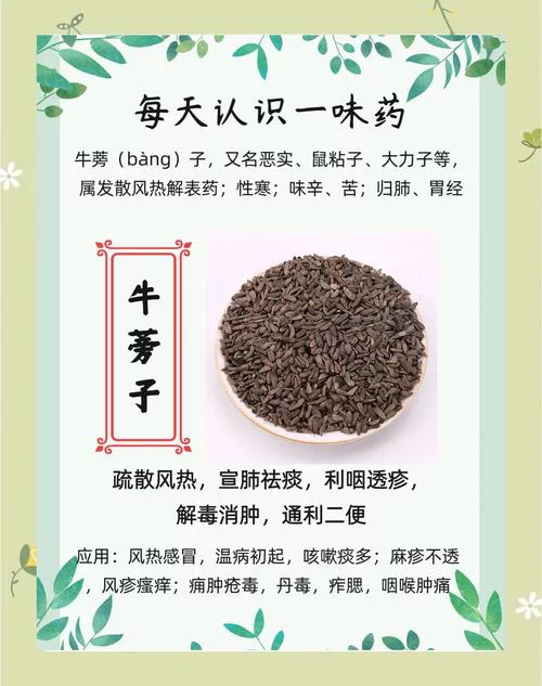 m.image.so.com_t048fe09e070fdf3bca.webp