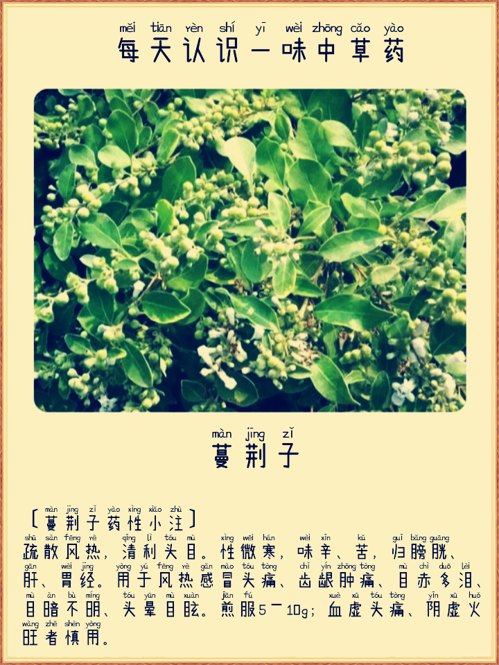图片编辑加字20260801204229_edit_296841910410230.png