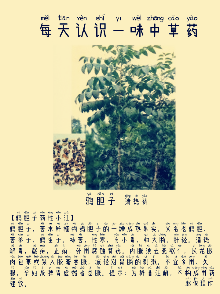 图片编辑加字20260901060925_edit_188152078992444.png