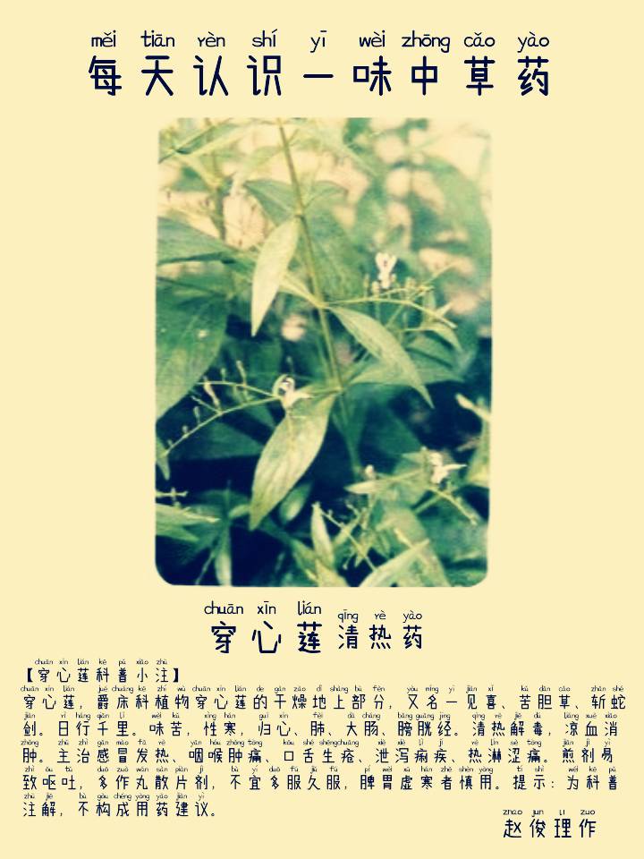 图片编辑加字20260908061639_edit_599714934658205.png