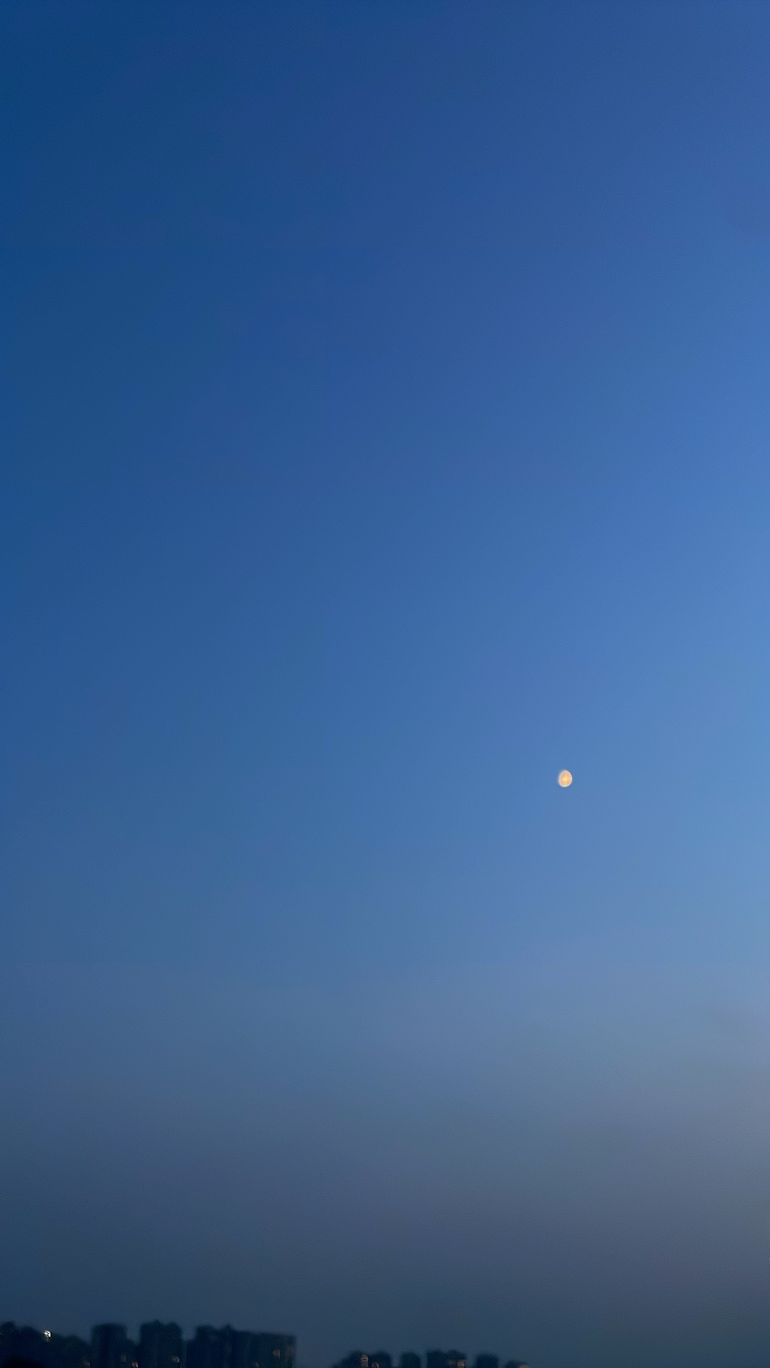 IMG_2649.jpeg