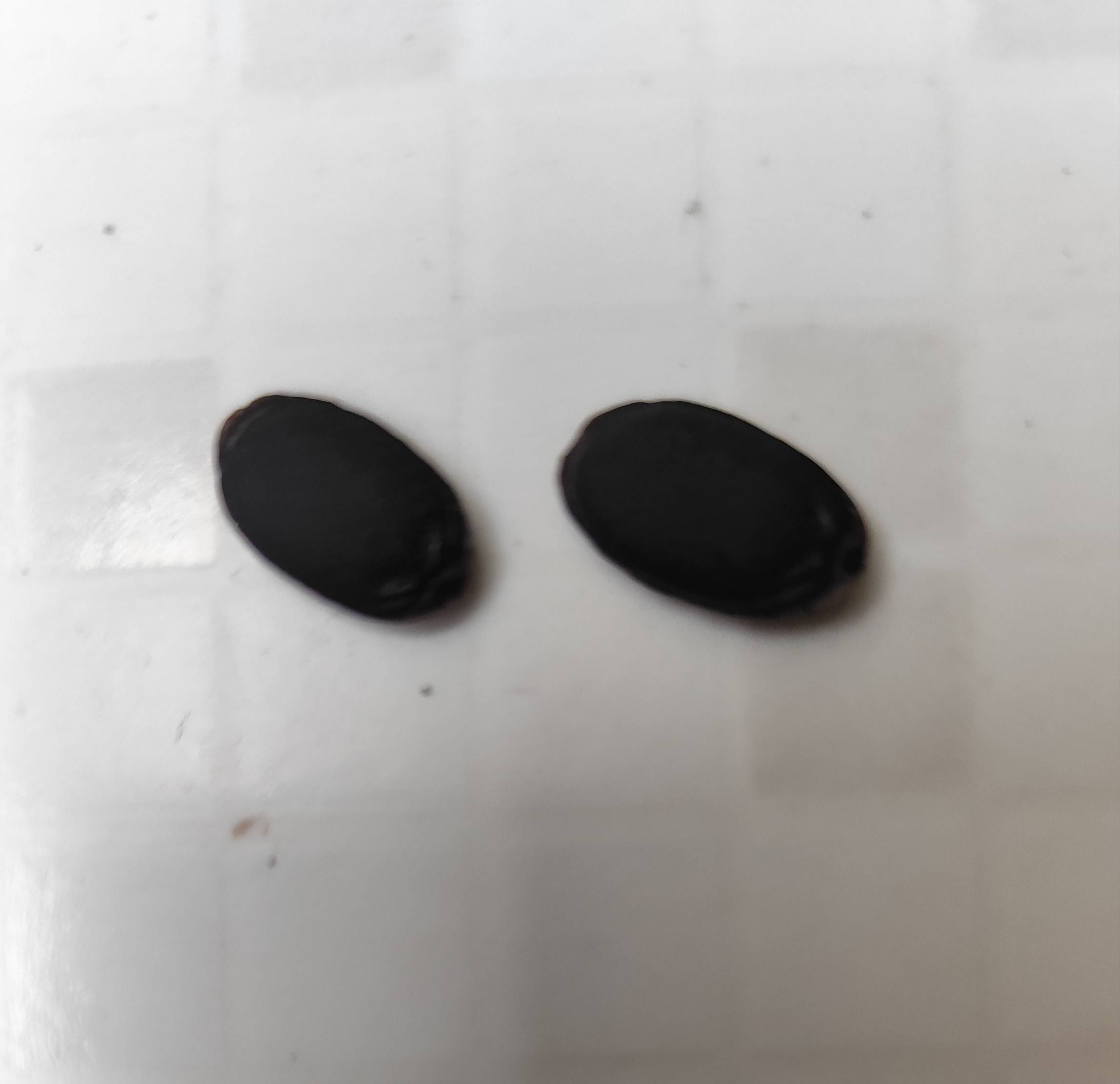 1790632917240.jpg
